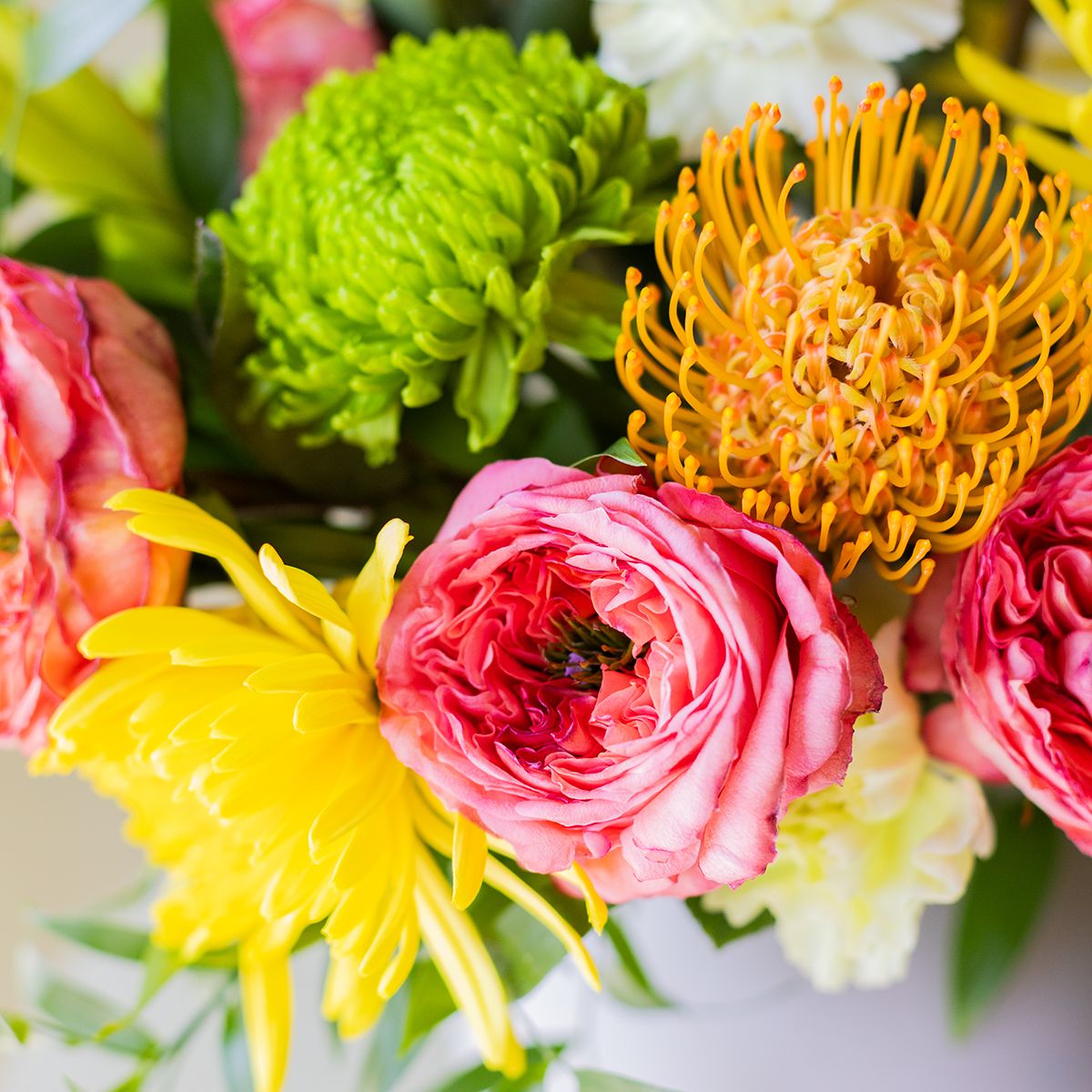 Caribe - Flores de Temporada