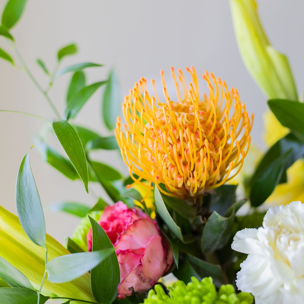 Caribe - Flores de Temporada