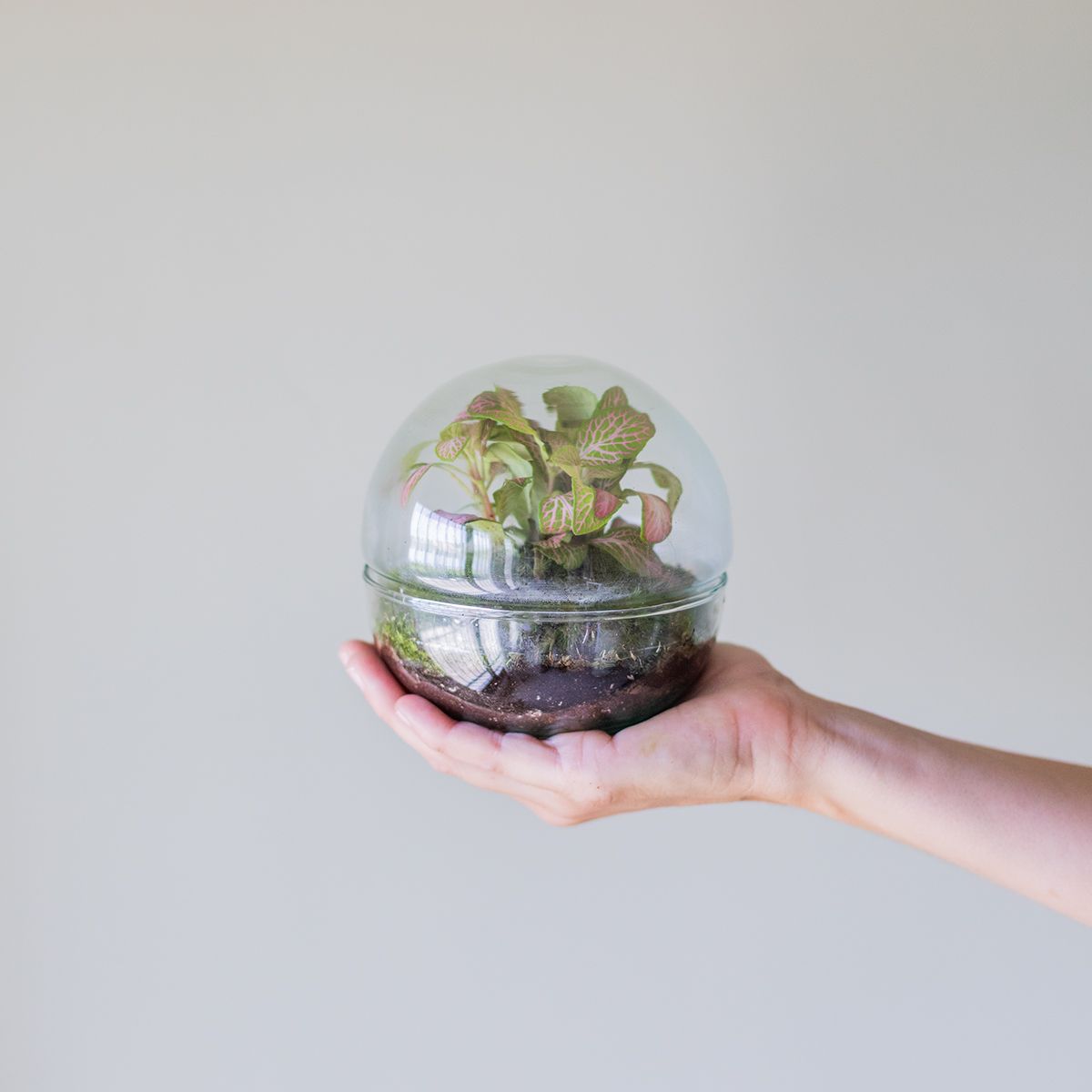 Jardín Eterno Garbí 