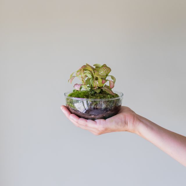 Jardín Eterno Garbí 