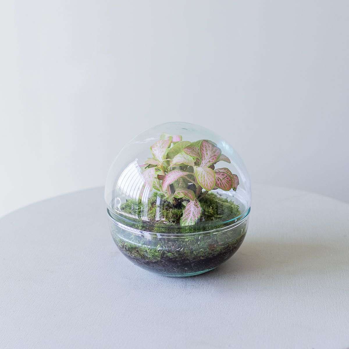 Jardín Eterno Garbí 