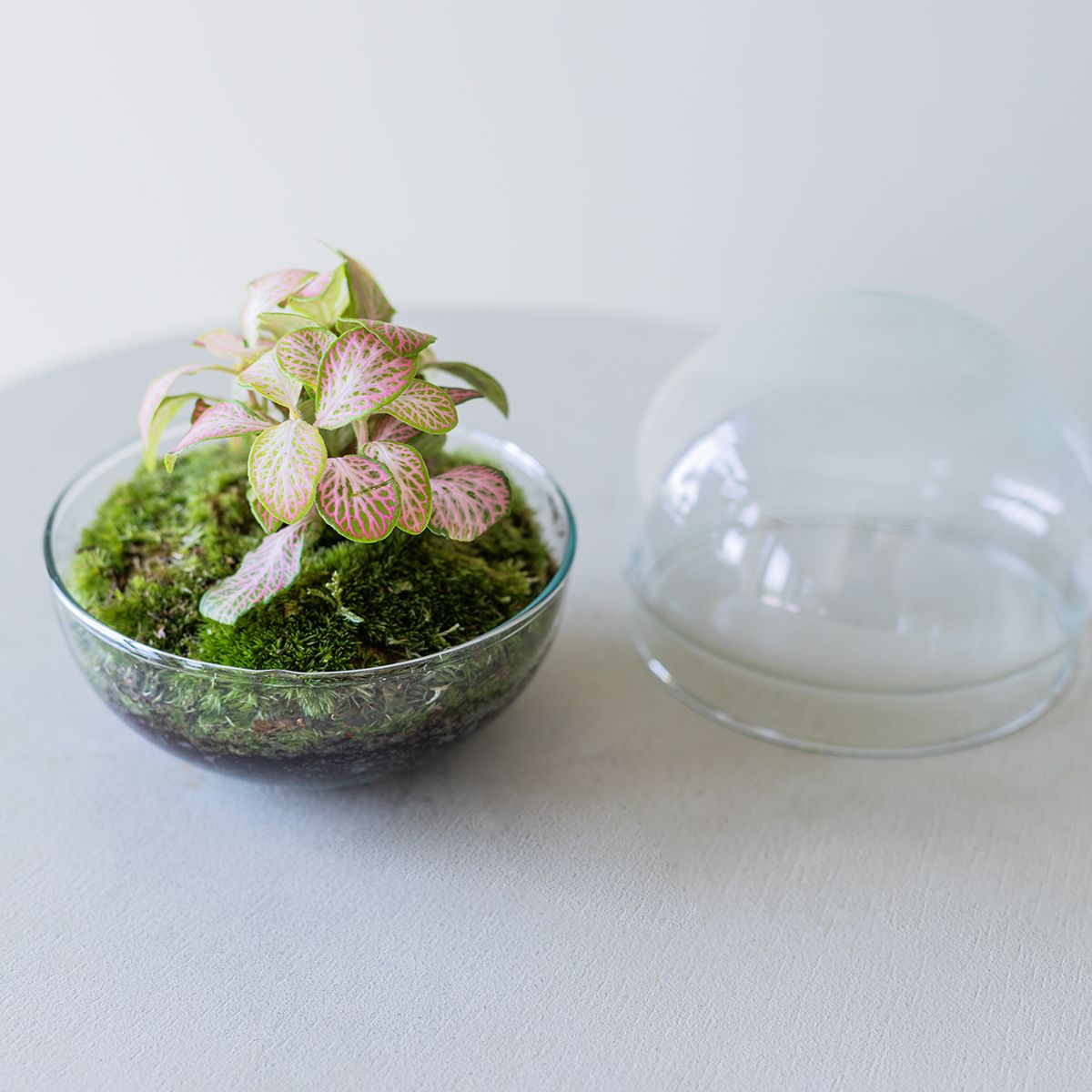 Jardín Eterno Garbí 