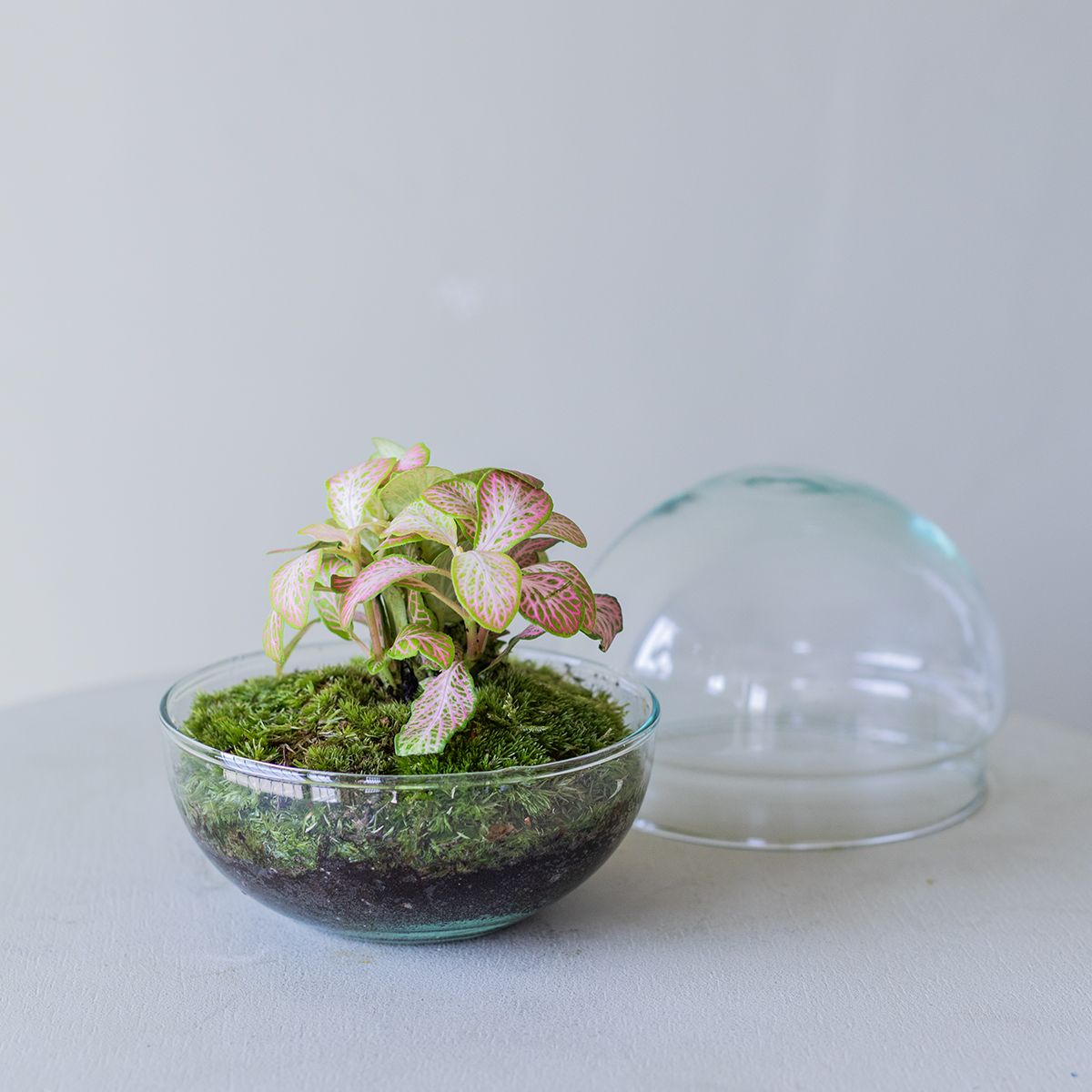 Jardín Eterno Garbí 