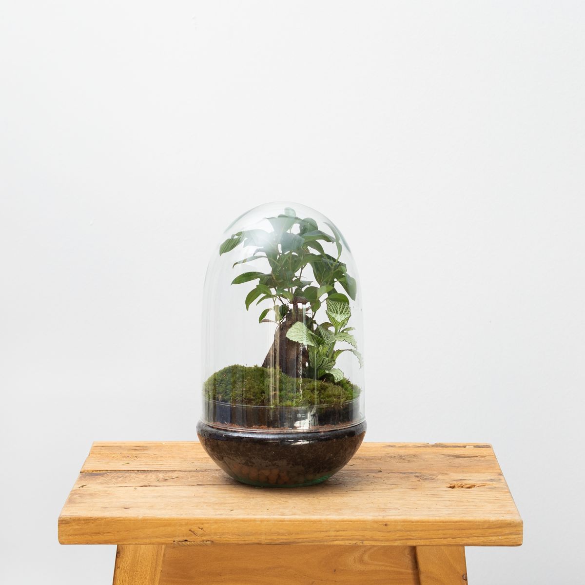 Jardín Eterno Púbol 