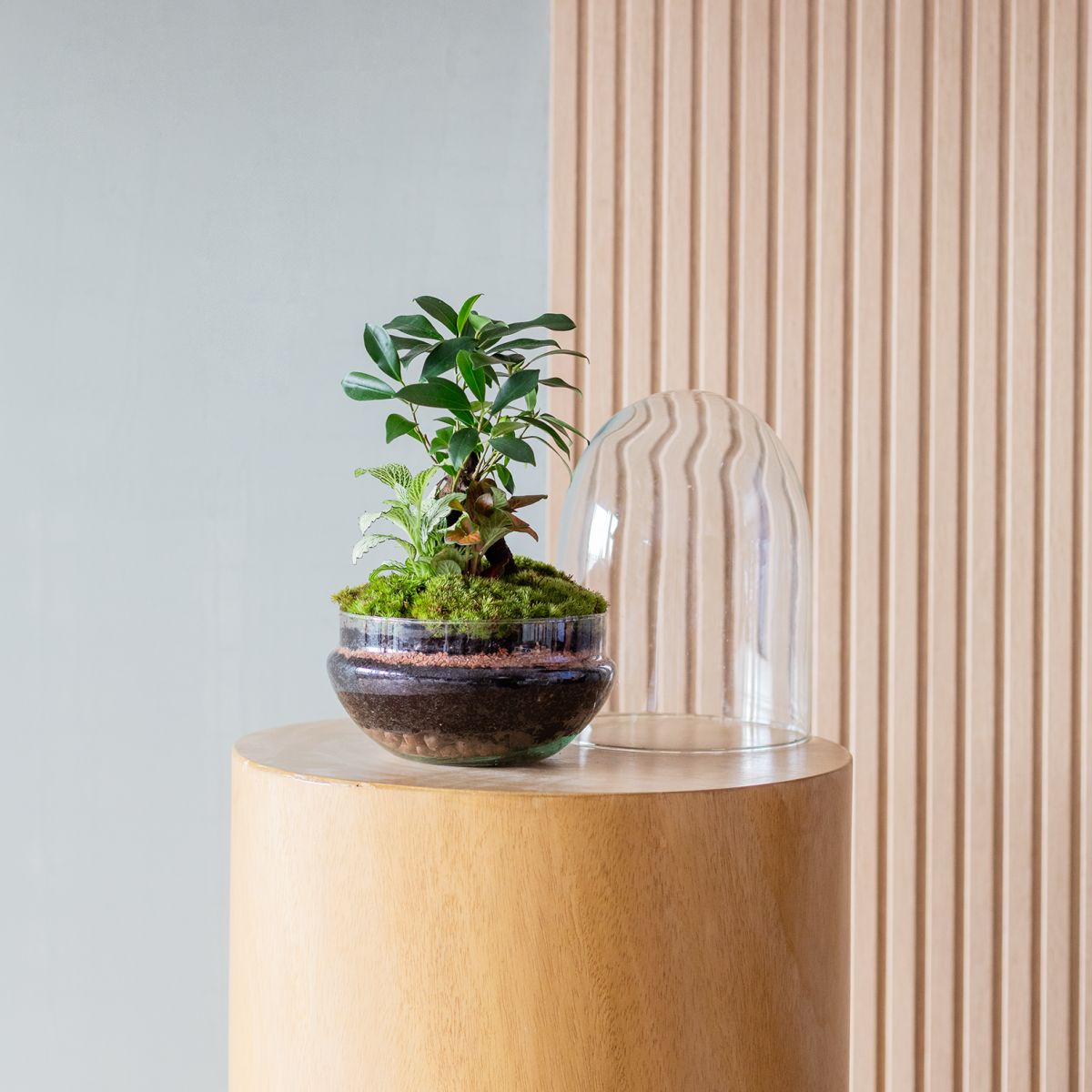 Jardín Eterno Púbol 