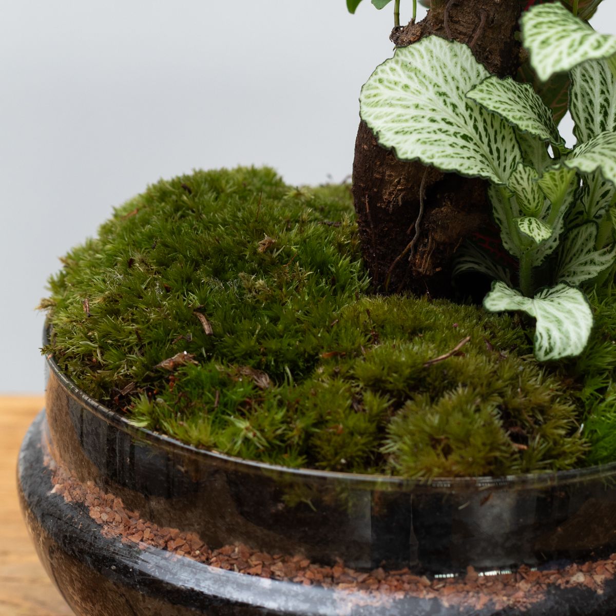 Jardín Eterno Púbol 