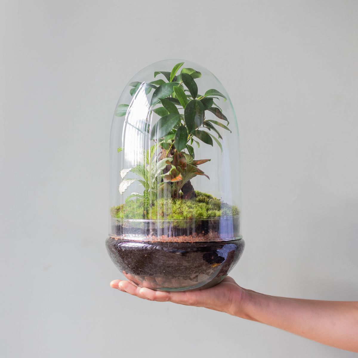 Jardín Eterno Púbol 