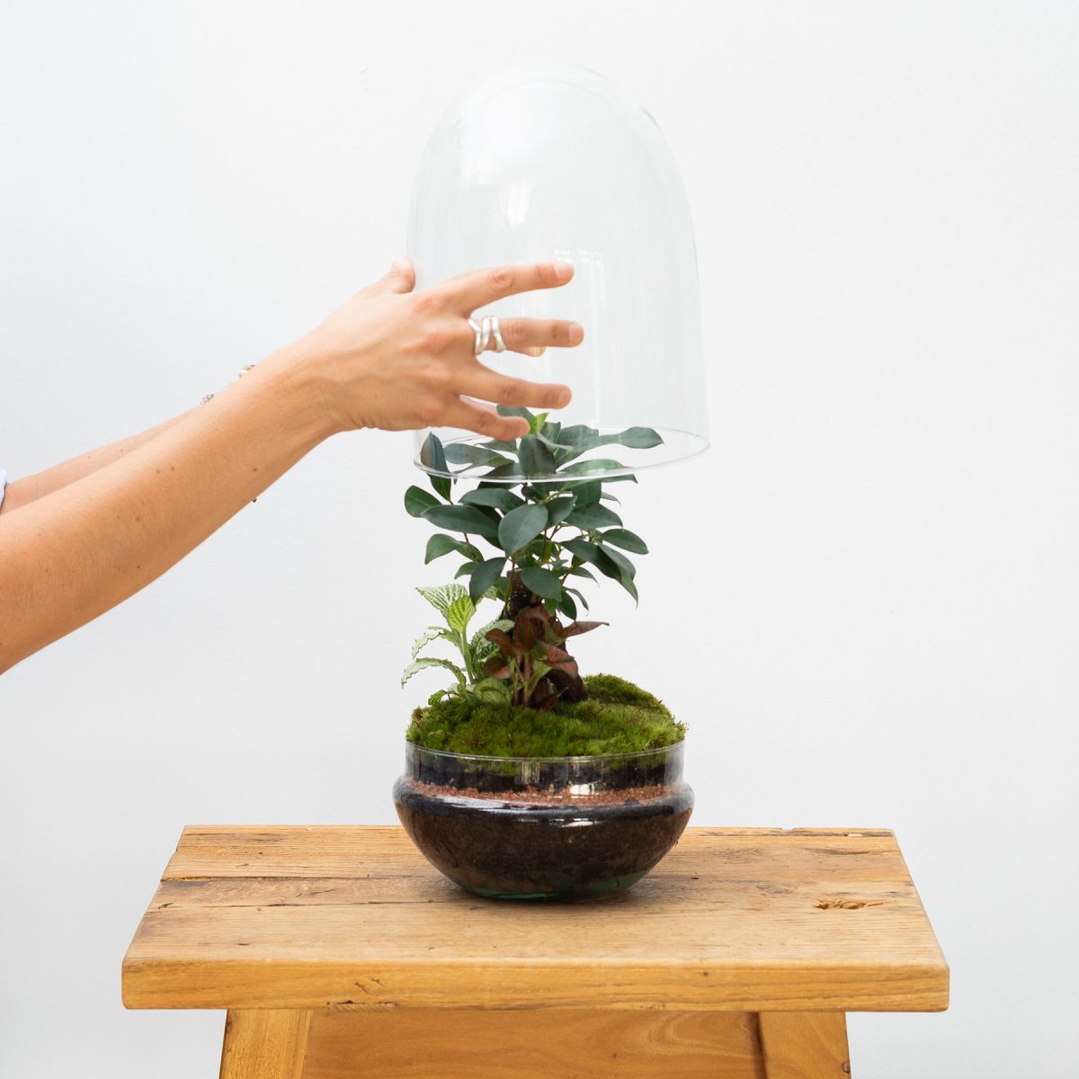 Jardín Eterno Púbol 