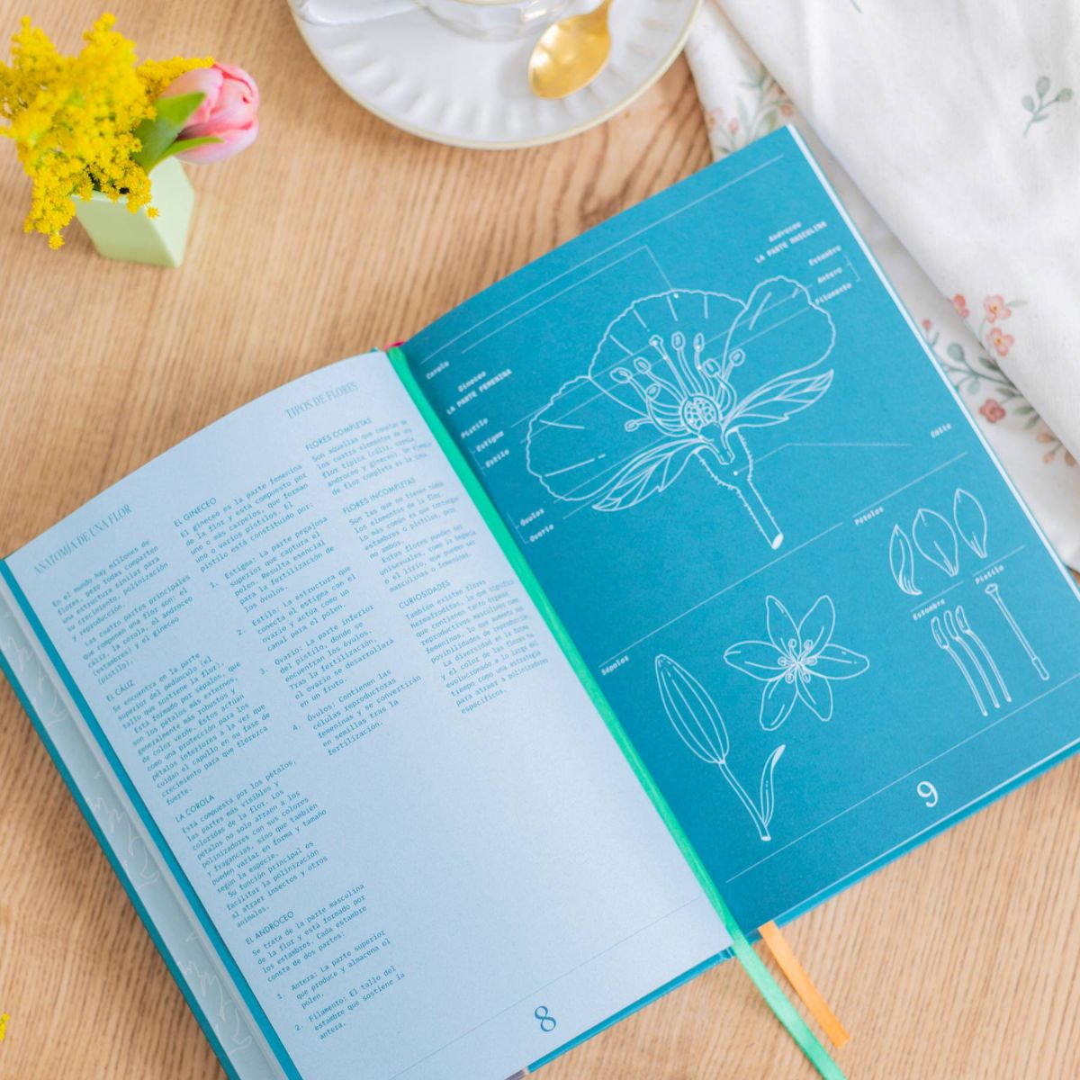 Libro Floripedia: Una exploración de la belleza y el arte de las flores