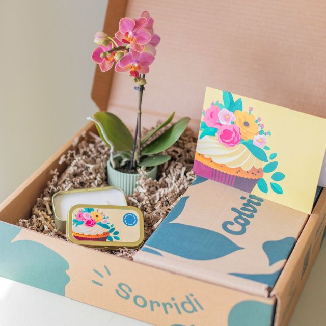 Pack Cumple: Mini Orquídea Sorpresa con Vela y Tarjeta