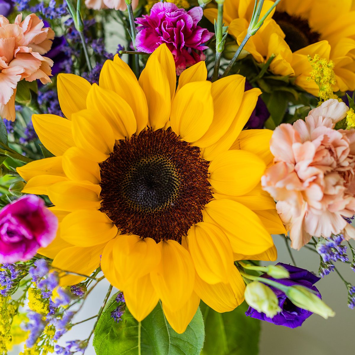 Pack Girasoles: Girasoles con Envoltorio y Tarjeta