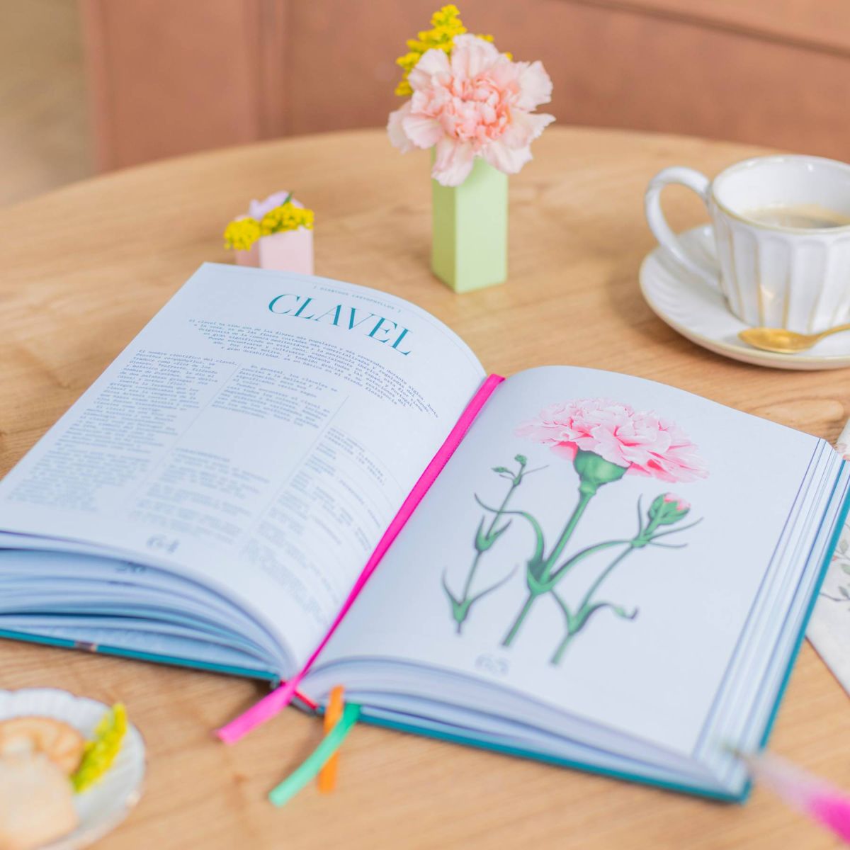 Pack Libro Floripedia con Mini Ramo