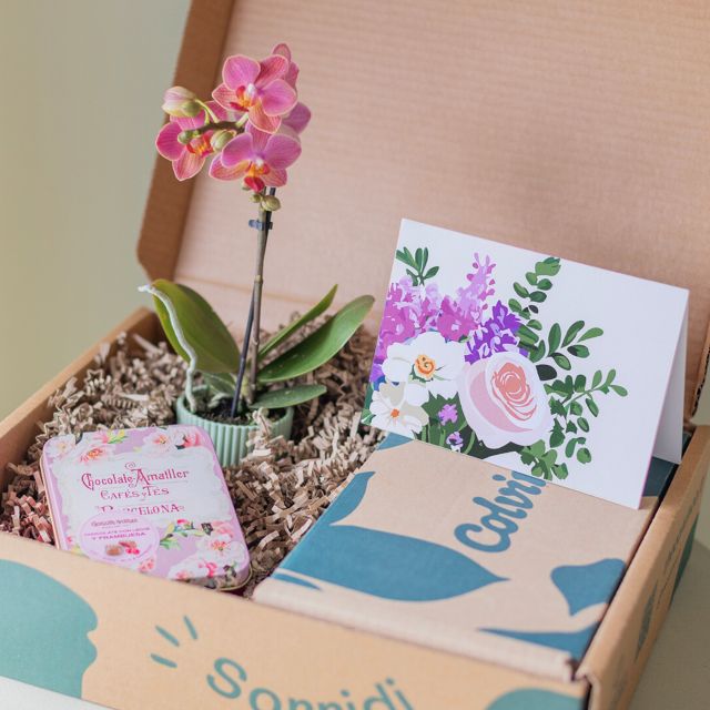Pack Mini Orquídea Sorpresa con Chocolate y Tarjeta