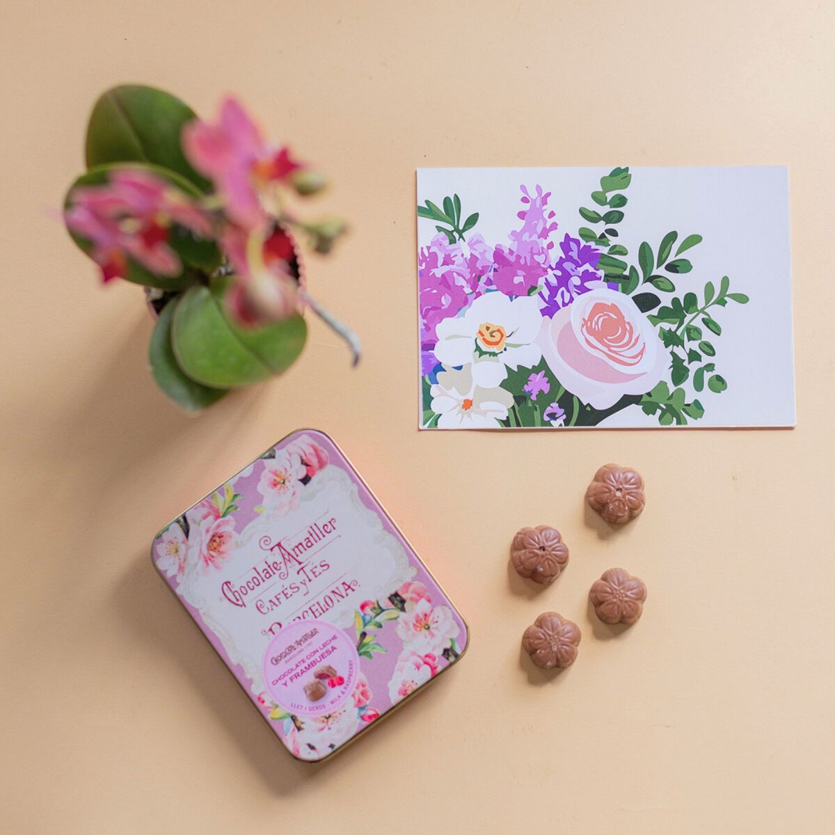 Pack Mini Orquídea Sorpresa con Chocolate y Tarjeta