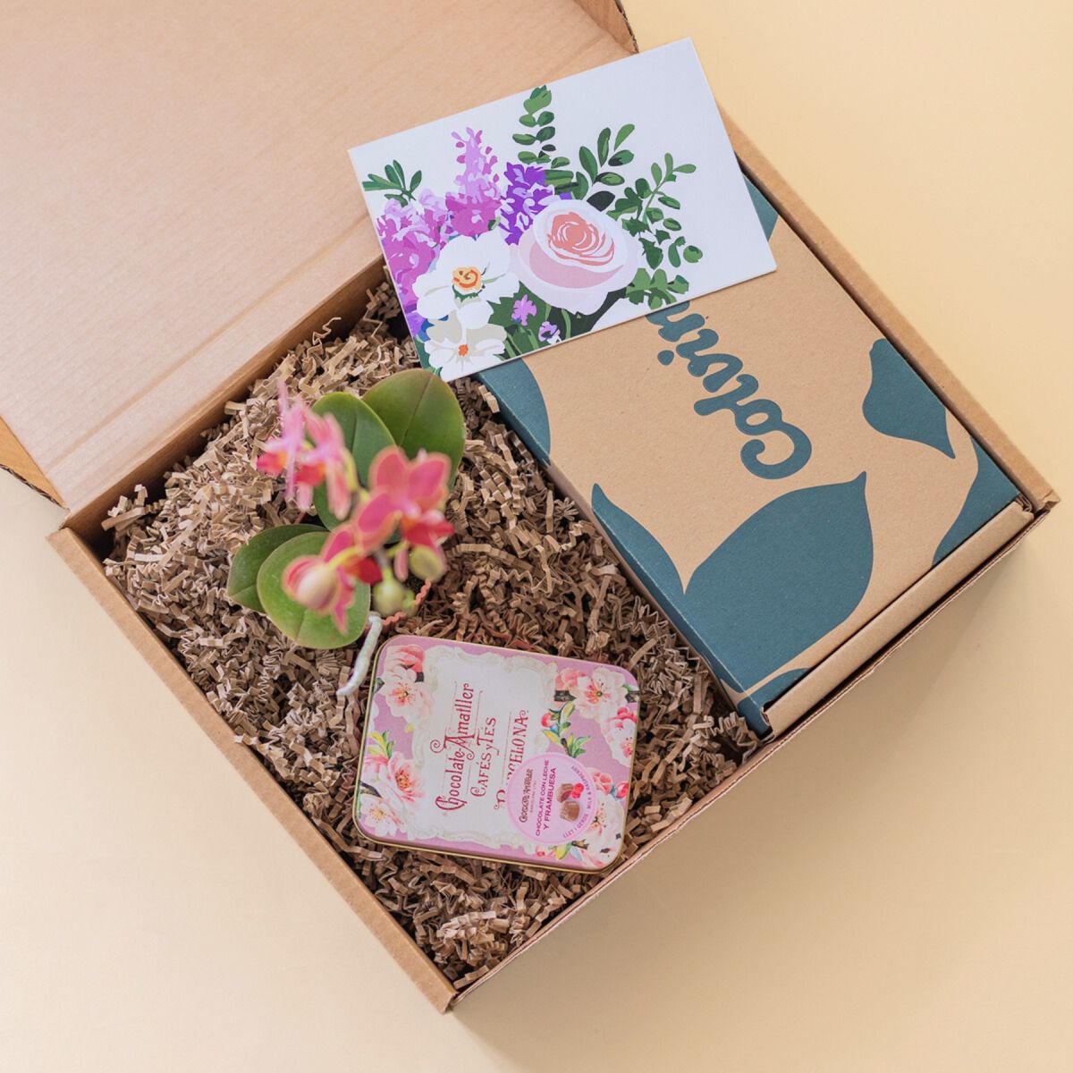 Pack Mini Orquídea Sorpresa con Chocolate y Tarjeta