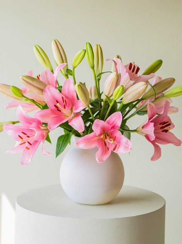 Regalos por menos de 30€