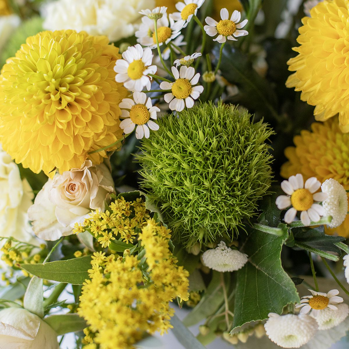 Rio - Jarrón con Rosas y Crisantemos