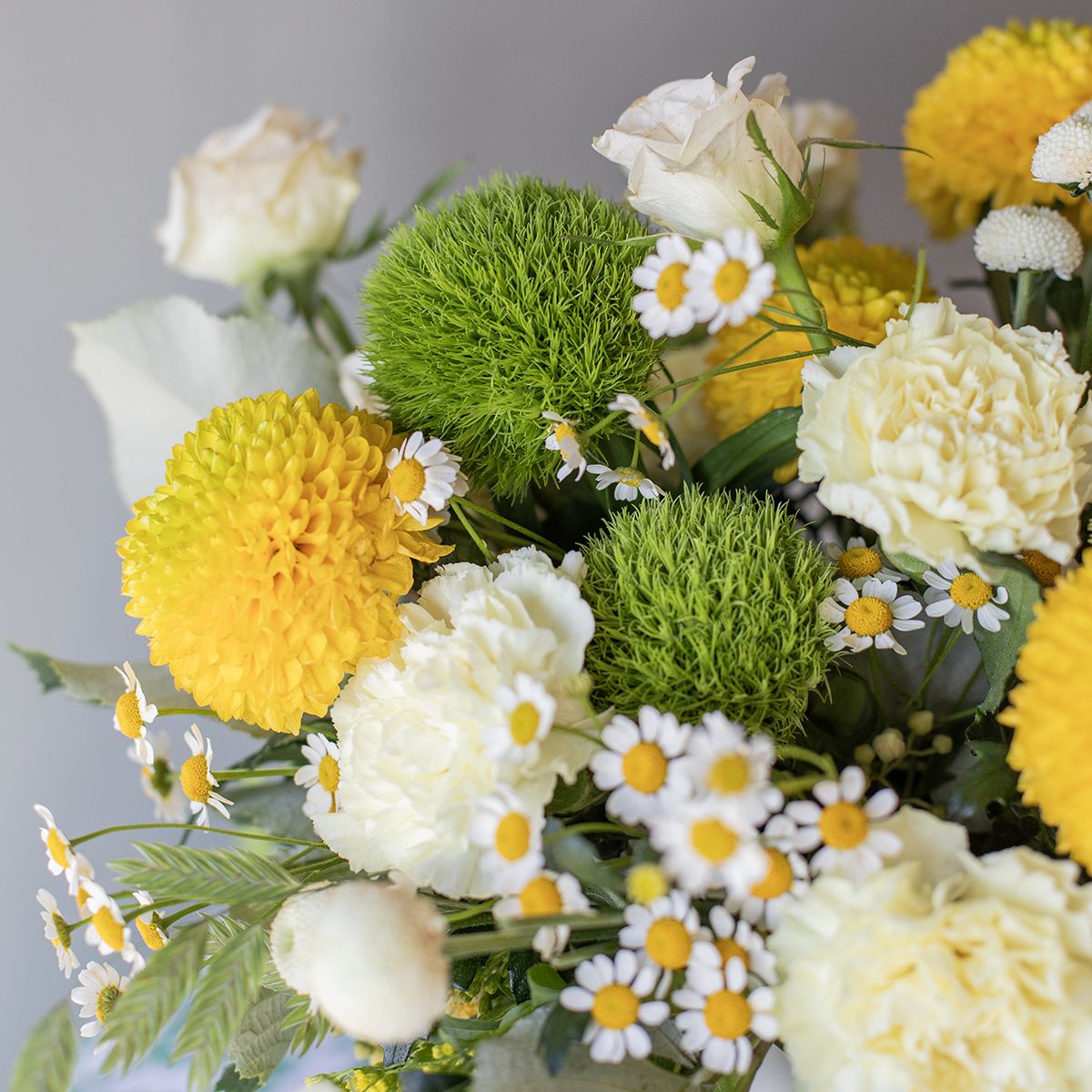 Rio - Jarrón con Rosas y Crisantemos