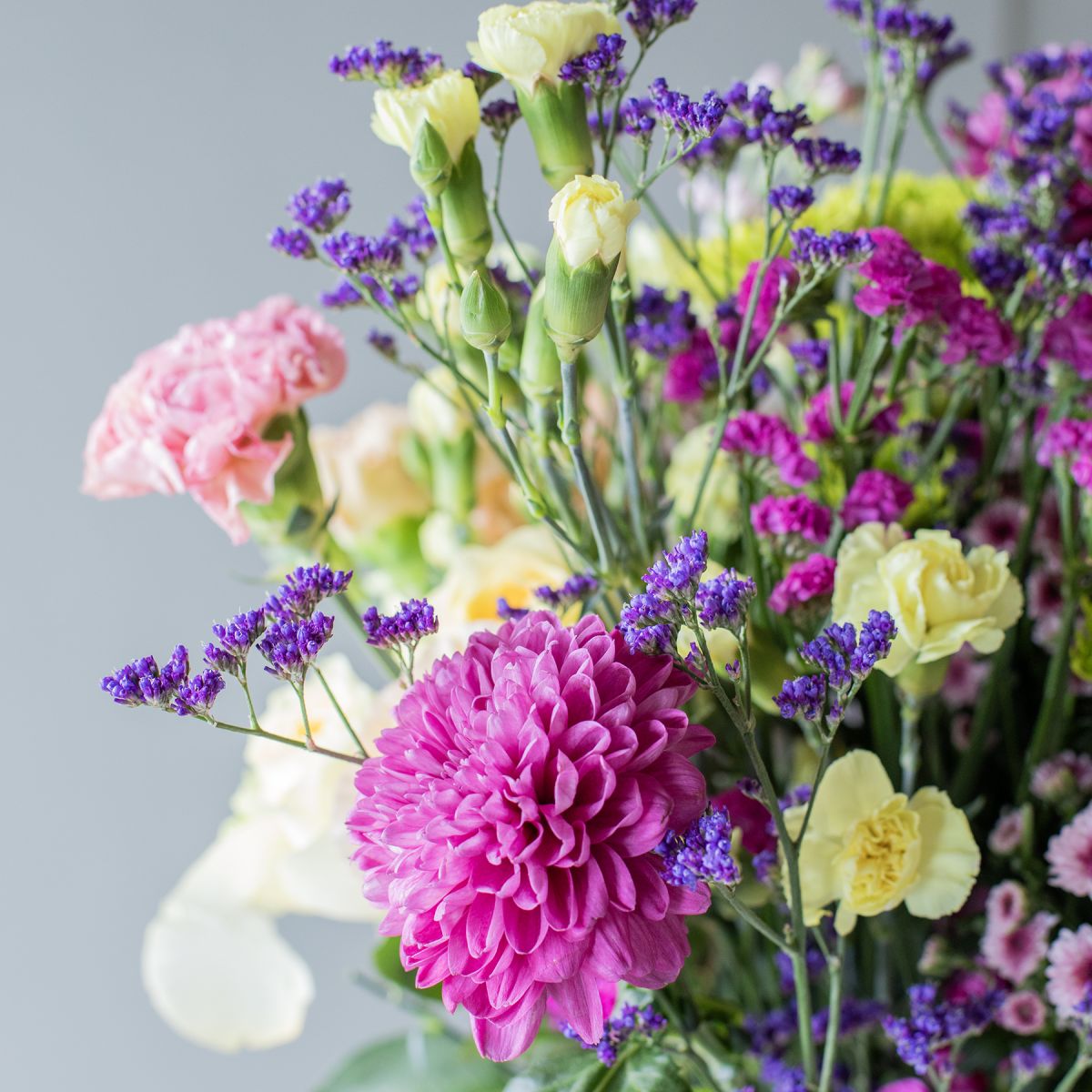 Selección de Flores Púrpuras