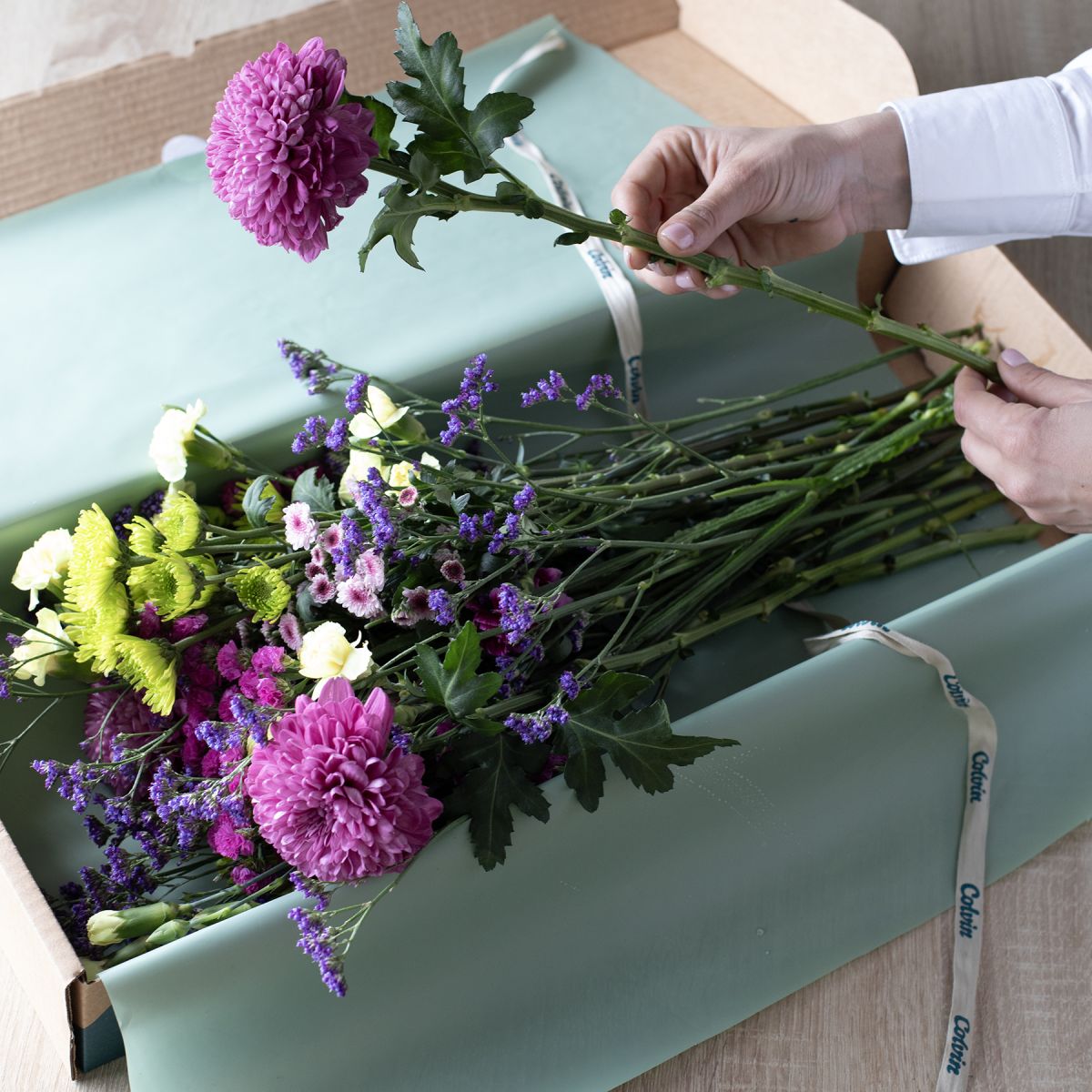 Selección de Flores Púrpuras