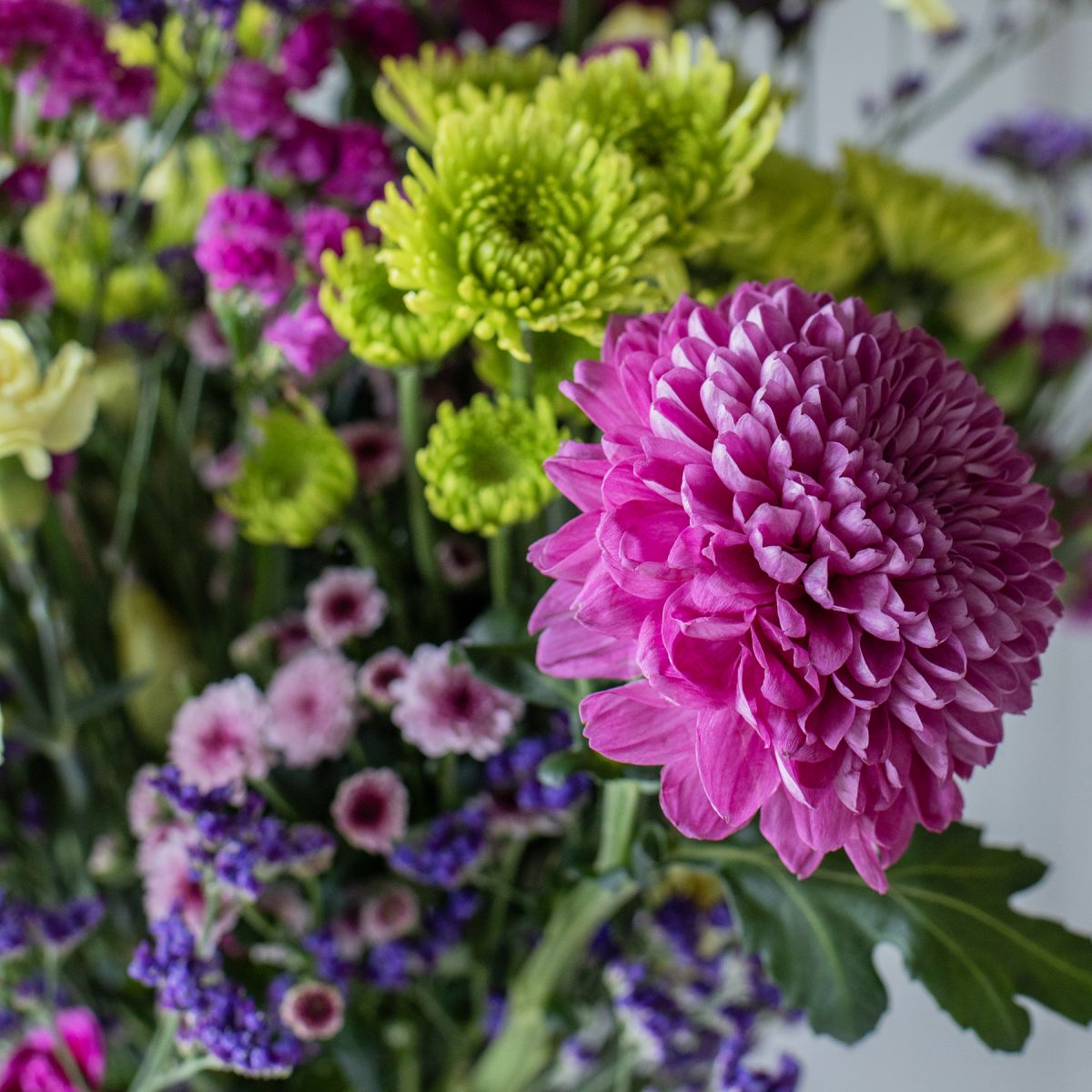 Selección de Flores Púrpuras