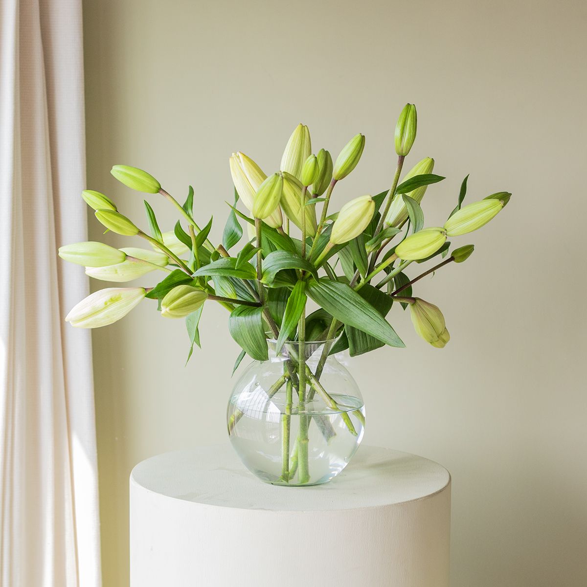 Selección de Lirios Amarillos