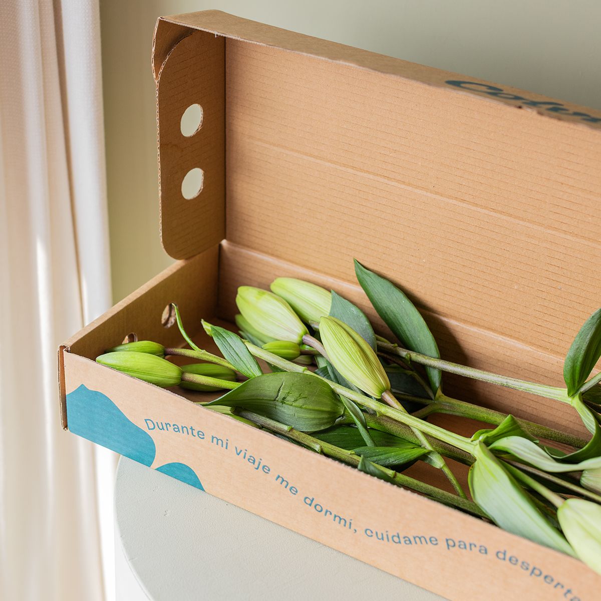 Selección de Lirios Amarillos