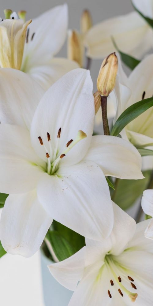 take-it-easy-aaf87966-8671-4da4-a29d-0439691c2de0