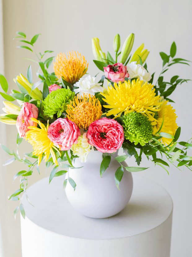 Colección de Verano